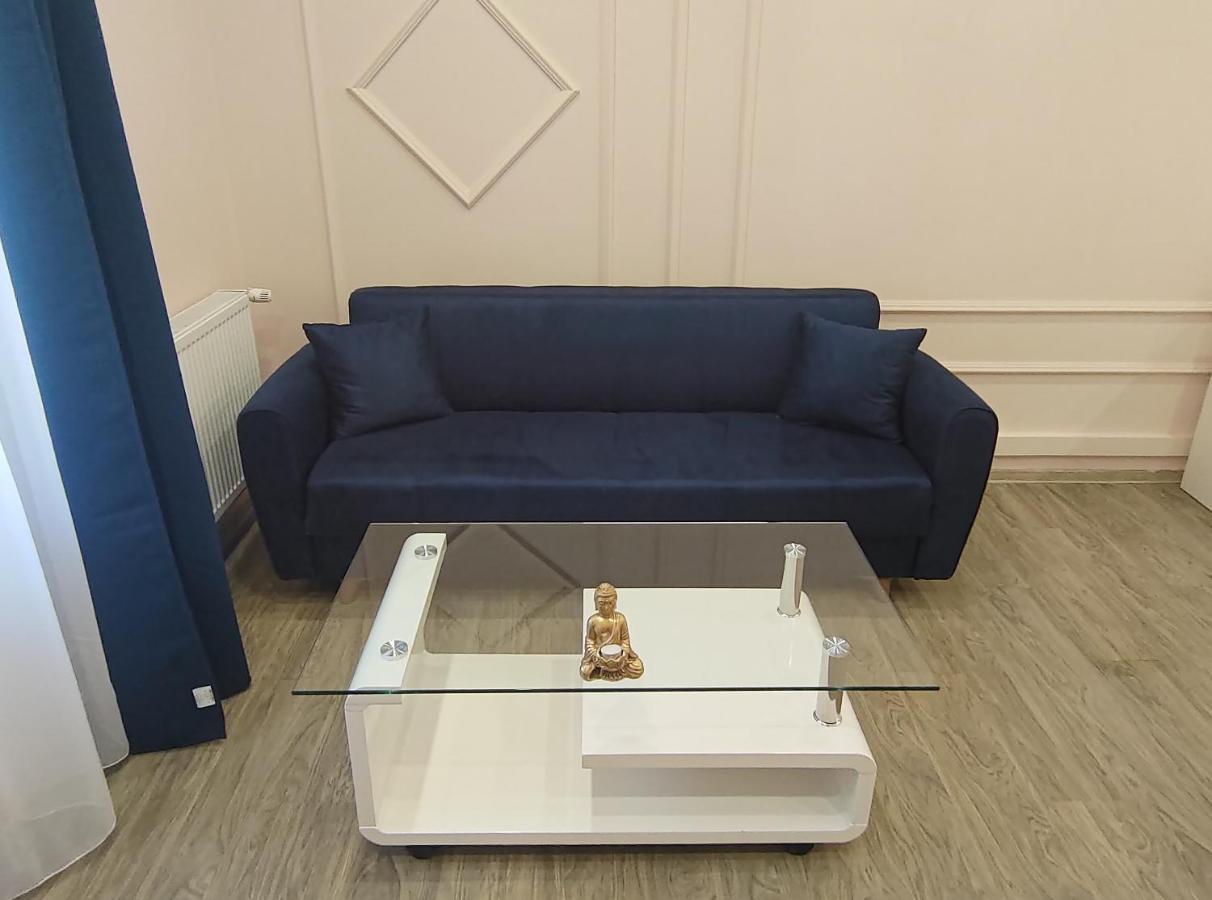 Lovely Apartment In The Heart Of The City Timişoara Eksteriør bilde